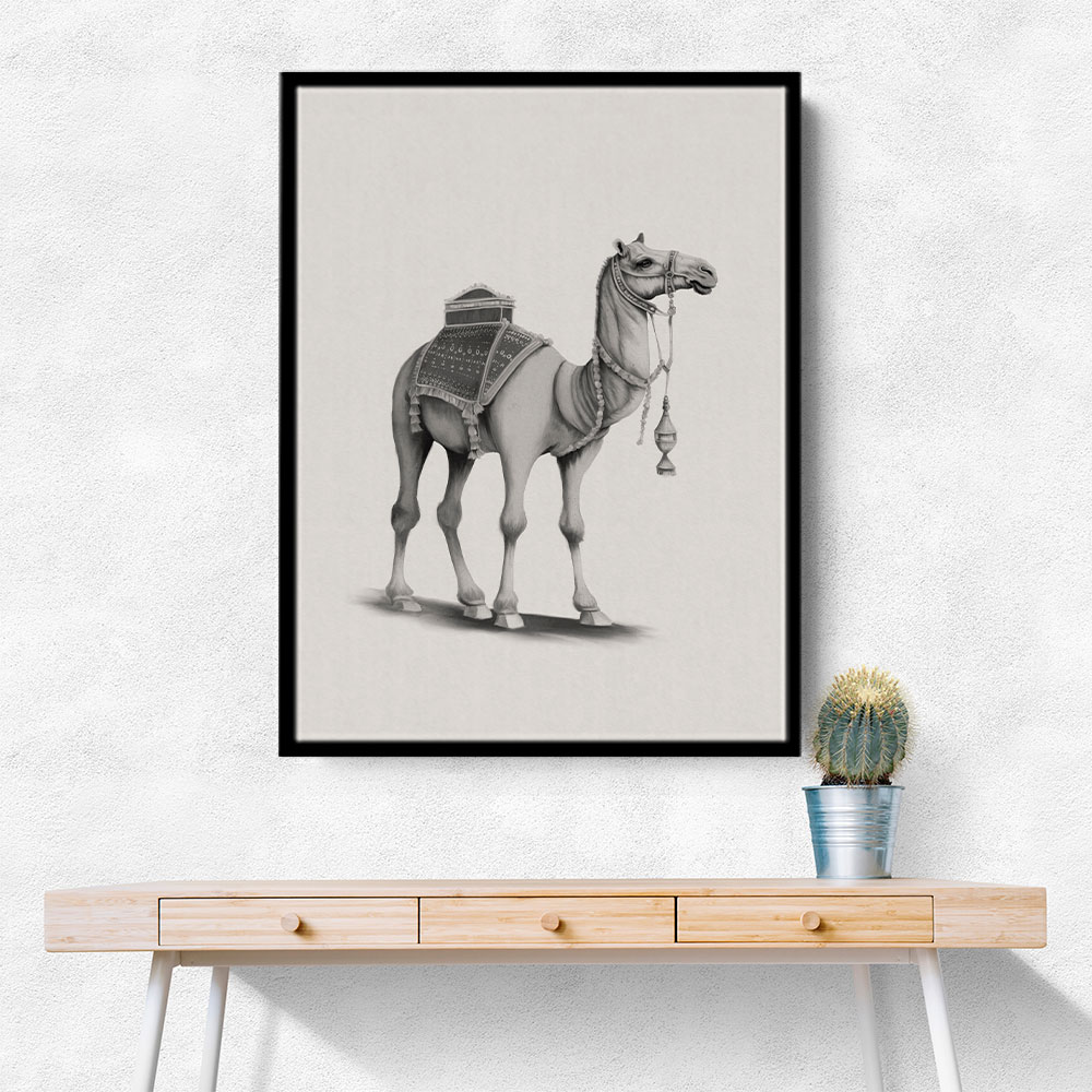 Graphic Camel Wall Art